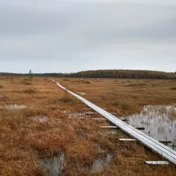 Udomlya Forest Reserve - Udomlya