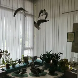 Udomlya Local History Museum - Udomlya