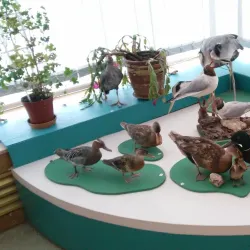 Udomlya Local History Museum - Udomlya