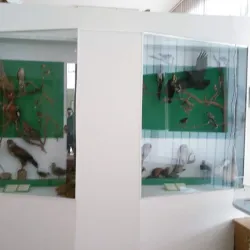 Udomlya Local History Museum - Udomlya