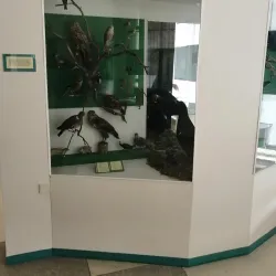 Udomlya Local History Museum - Udomlya