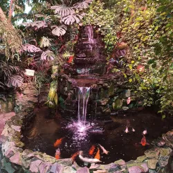 Ufa Botanical Garden - Ufa