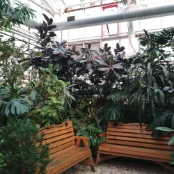 Ufa Botanical Garden - Ufa