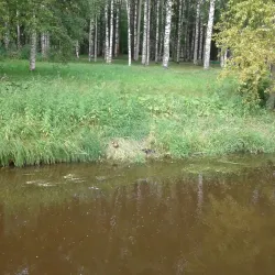 City Central Park - Ukhta