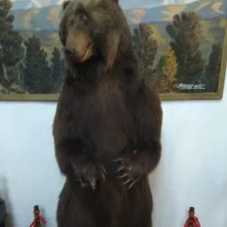 Ukhta Museum of Local Lore - Ukhta