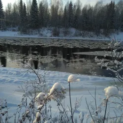 Ukhta River Embankment - Ukhta