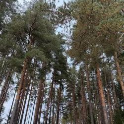 Ukhta Ski Resort - Ukhta