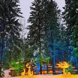 Ukhta Ski Resort - Ukhta