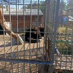 Baikal Museum - Ulan Ude