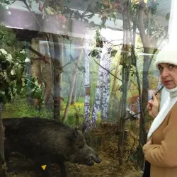 Ulyanovsk Regional Museum of Local Lore - Ulyanovsk