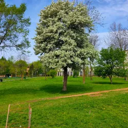 Central Park of Culture and Leisure - Ussuriysk