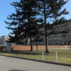 Monument to the Fighters for Soviet Power in the Far East - Ussuriysk