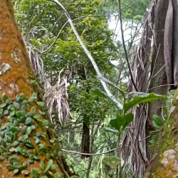 Lena River Embankment - Ust'-Kut