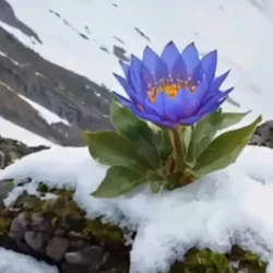 Lena River Embankment - Ust'-Kut