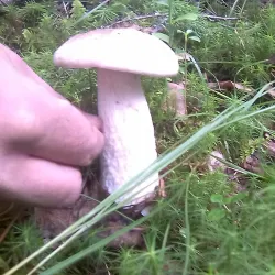 Trans-Siberian Railway Station - Ust'-Kut