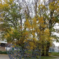 Memorial Complex 'Velikiye Luki' - Velikiye Luki