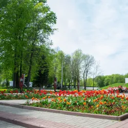 Velikiye Luki Local History Museum - Velikiye Luki