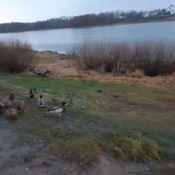 Antoniev Monastery - Veliky Novgorod