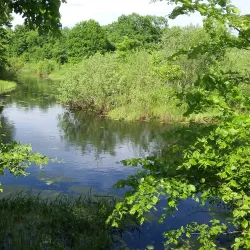 Volkhov River Embankment - Veliky Novgorod