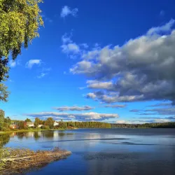 Vel'sk Forest Trails - Vel'sk