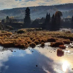 Vel'sk Forest Trails - Vel'sk