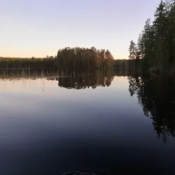 Vel'sk Forest Trails - Vel'sk