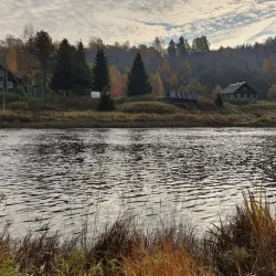 Vel'sk Forest Trails - Vel'sk