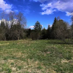 Vel'sk Forest Trails - Vel'sk