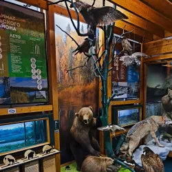 Vel'sk Local History Museum - Vel'sk