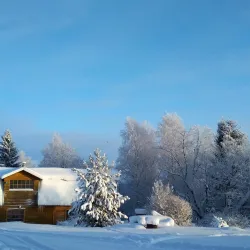 Vel'sk Riverside Park - Vel'sk