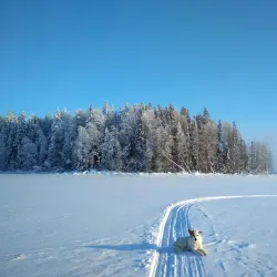 Vel'sk Riverside Park - Vel'sk