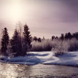 Vel'sk Riverside Park - Vel'sk