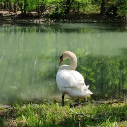 Central Park of Culture and Leisure - Vladikavkaz