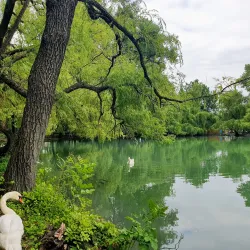 Central Park of Culture and Leisure - Vladikavkaz