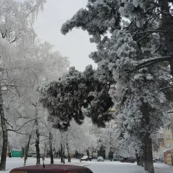 Victory Park - Vladikavkaz