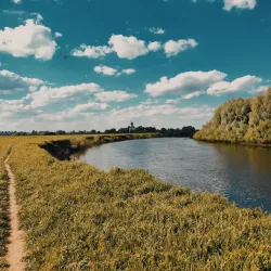 Church of the Intercession on the Nerl - Vladimir