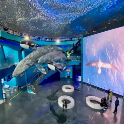 Primorsky Aquarium - Vladivostok