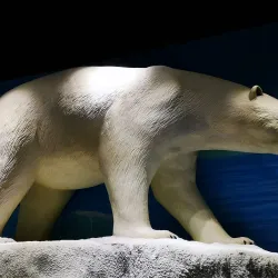 Primorsky Aquarium - Vladivostok