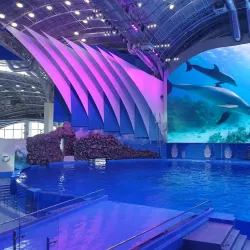 Primorsky Aquarium - Vladivostok