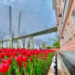 Svetlanskaya Street - Vladivostok