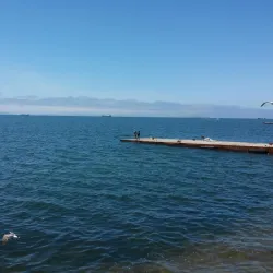 Vladivostok Oceanarium - Vladivostok