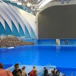 Vladivostok Oceanarium - Vladivostok