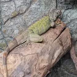 Vladivostok Oceanarium - Vladivostok