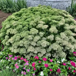 Central Park of Culture and Leisure - Volgodonsk