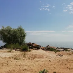 Tsimlyansk Reservoir - Volgodonsk