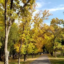Victory Park - Volgodonsk
