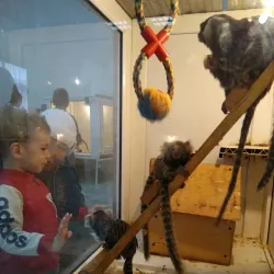 Volgodonsk Art Gallery - Volgodonsk