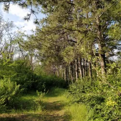 Volgodonsk Botanical Garden - Volgodonsk