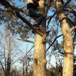 Volgodonsk Botanical Garden - Volgodonsk