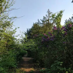 Volgodonsk Botanical Garden - Volgodonsk